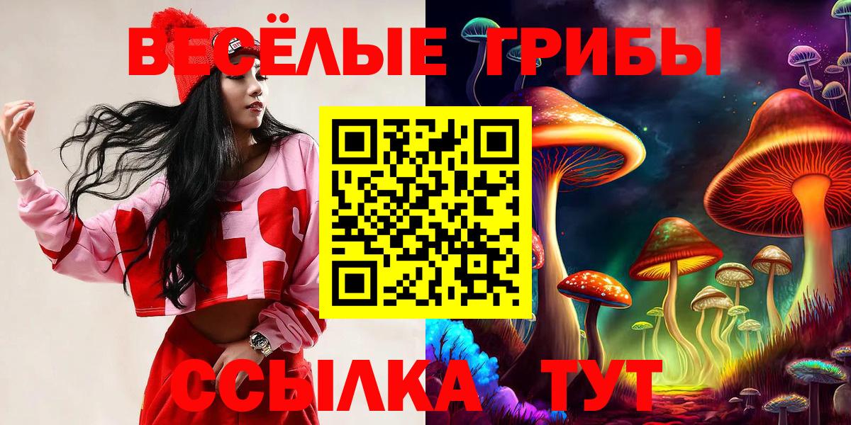 Новокуйбышевск  Псилоцибиновые грибы мицелий  Галлюциногенные грибы Cubensis  Вход с VPN 