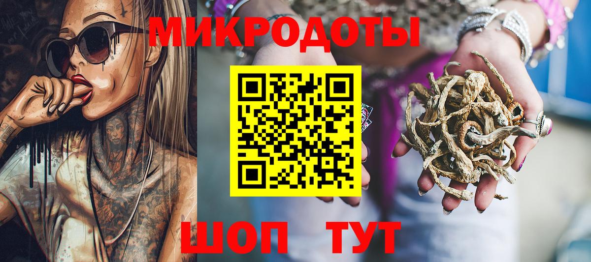 Псилоцибиновые грибы Psilocybine cubensis Новокуйбышевск
